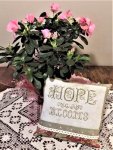 (image for) Hope Blooms